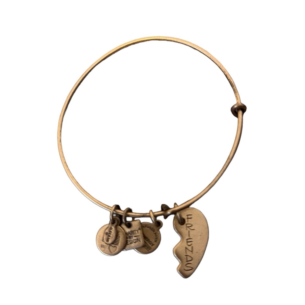 Alex and Ani Friendship Bracelet